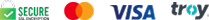 logo-alt